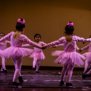 Taller De Ballet